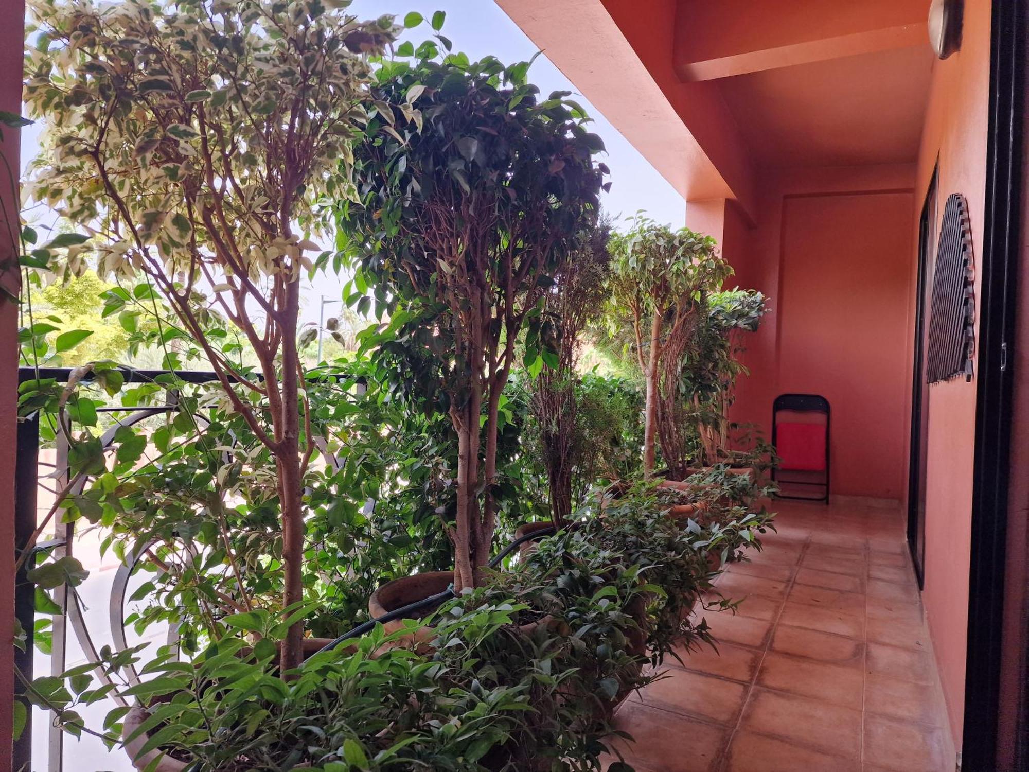 Deluxe In The Center Of With Free Wifi Marrakesh